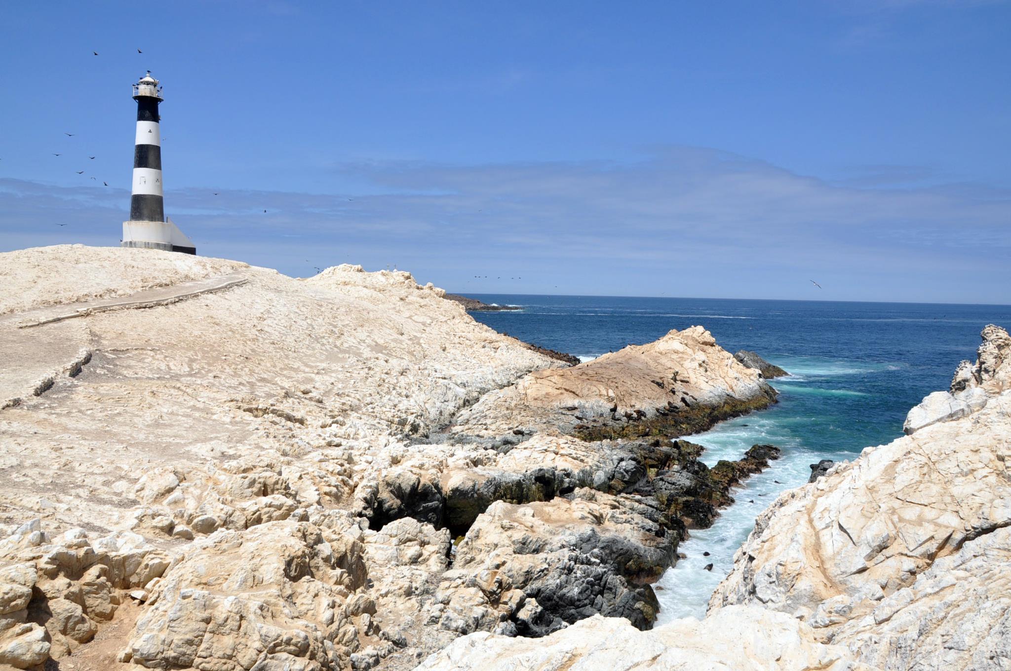 Punta Coles - Rnsiipg